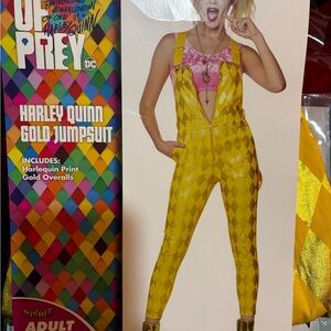 Harley Quinn Birds of Pray Costume